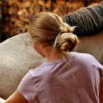 Understanding Dermatitis in Horses - Common Skin Conditions and Pictures