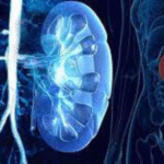 nephrology hospital in bangalore