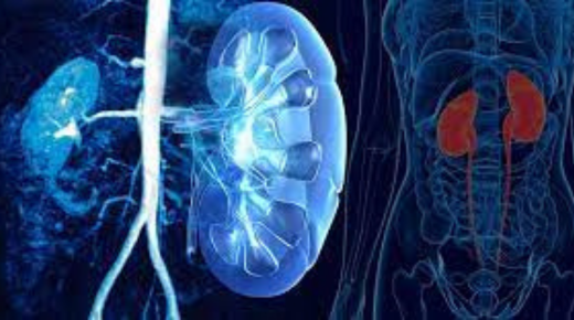 nephrology hospital in bangalore
