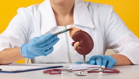 best kidney transplant hospital in Bangalore