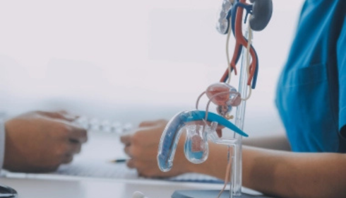 urologist in bangalore